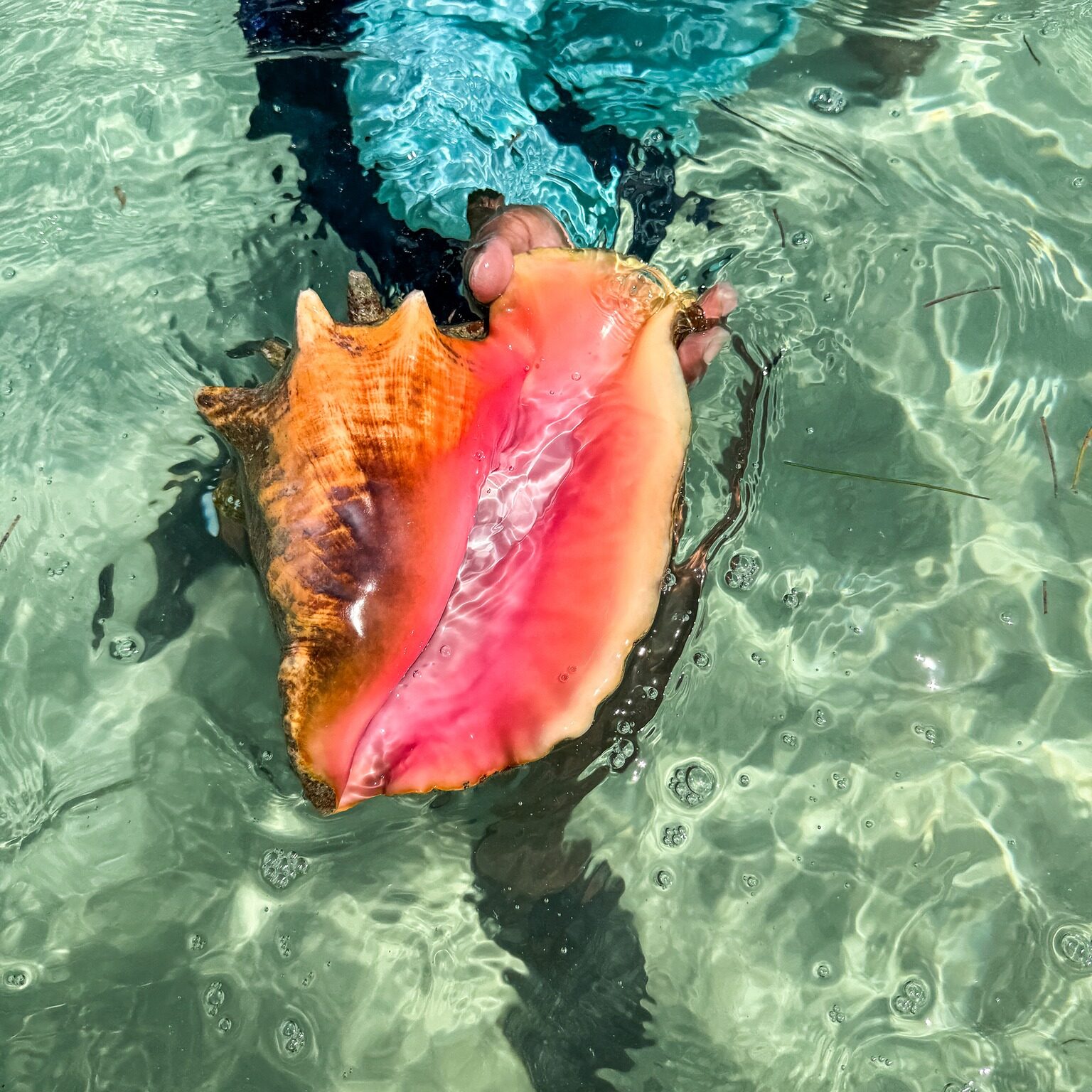 Zemi Miches Punta Cana All-Inclusive Resort